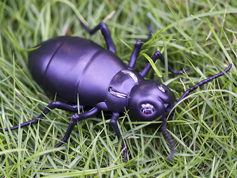 Infrared remote control ant